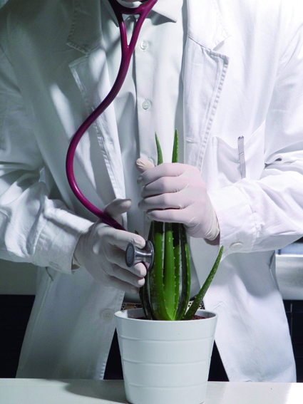 Editorial, Plants, Doctor, Photography, Cactus, Man